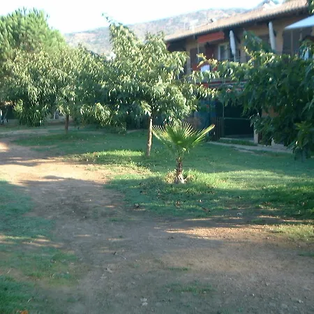 公寓 Golfe De Lava Tamariccio *